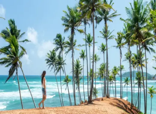 Sri Lanka Holiday Package 4 Nights / 5 Days